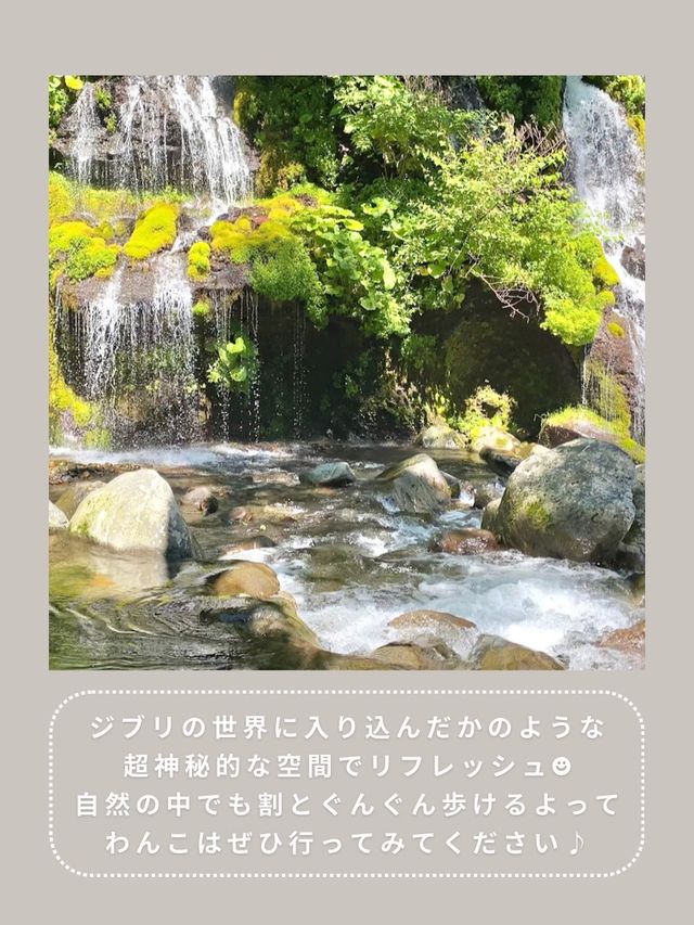【山梨】マイナスイオンたっぷり🥹🫧