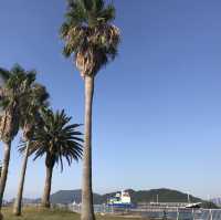 【山口・周南市】晴海親水公園