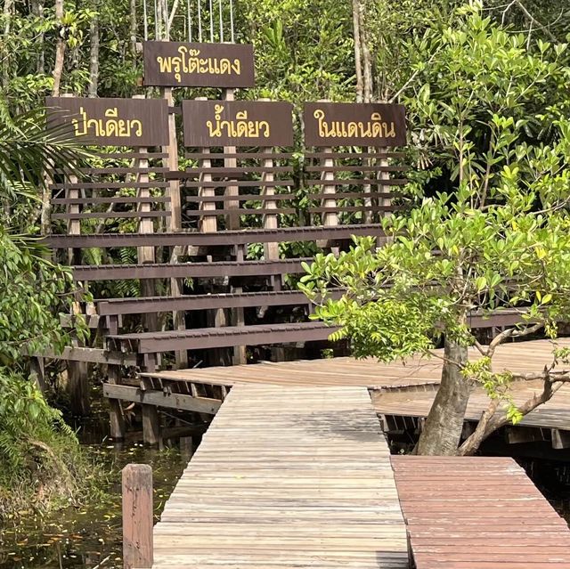 ป่าพรุผืนสุดท้าย.. ป่าพรุโต๊ะแดง​ นราธิวาส​