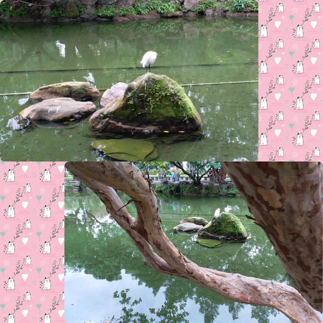 台北車站公園游🌹🥰