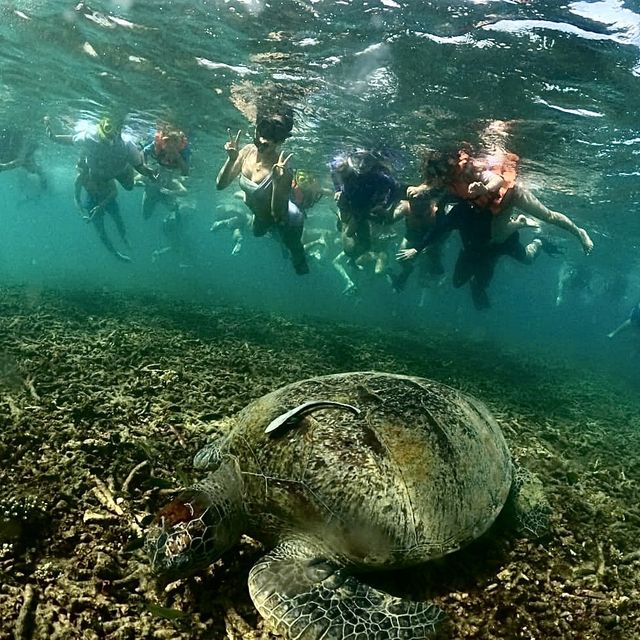 태국 떠오르는 카오타오 섬(Koh Tao Island) 투어