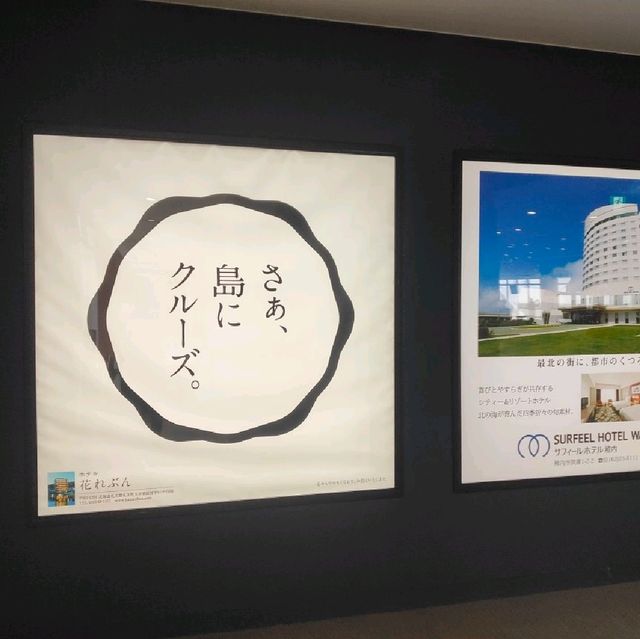 【礼文島】雨が降った時の北海道礼文島の楽しみ方☂