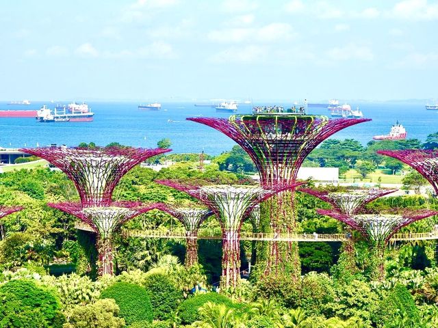 Home To Almost 4,000,000 Plants 🪴