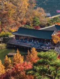 จุดชมใบไม้เปลี่ยนสี ที่สวยสุดในเกาหลี Hwadamsup