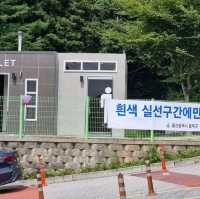 가을의 시작 억새보러가자