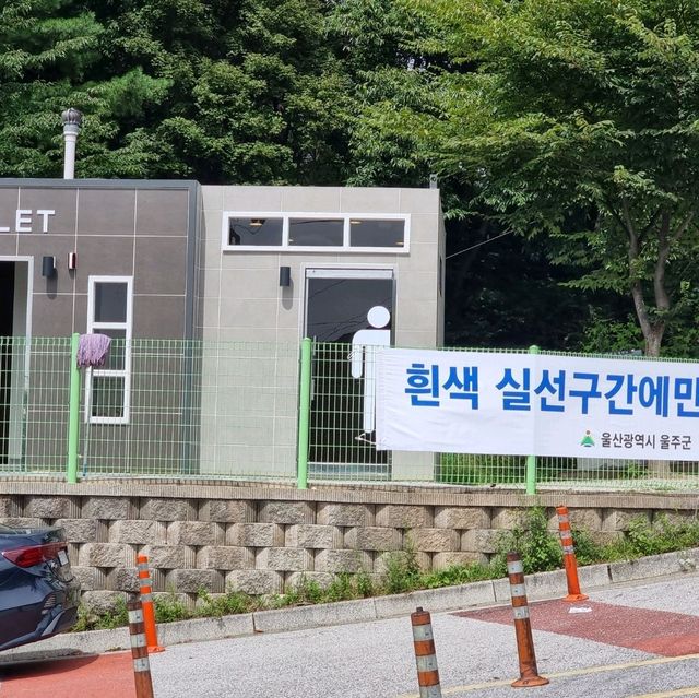 가을의 시작 억새보러가자