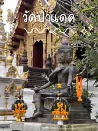 พาไปมูที่วัดป่าแดด วัดดังและปังที่สุดในเชียงใหม่ 