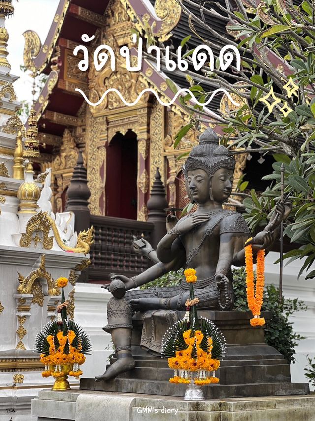 พาไปมูที่วัดป่าแดด วัดดังและปังที่สุดในเชียงใหม่ 