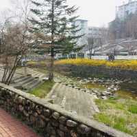 [KOREA]🍂great⭐️YongPyong⭐️resort🍂✨