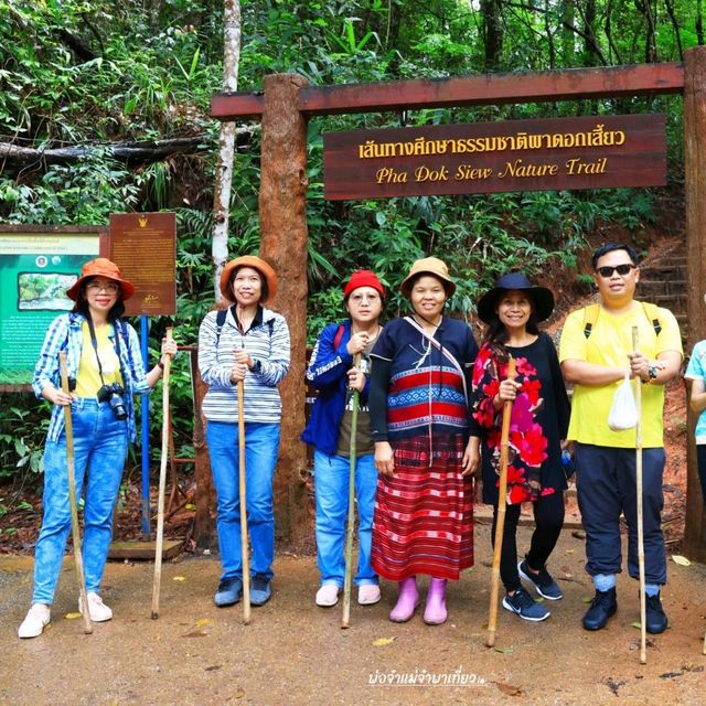 เส้นทางศึกษาธรรมชาติผาดอกเสี้ยว ดอยอินทนนทฺ์