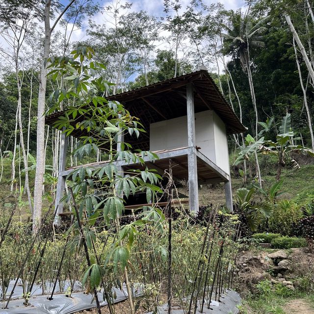 Candi Selogriyo 最高！(ジョグジャカルタ　インドネシア🇮🇩)