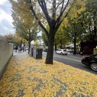 Pretty Autumn Lane a must visit in Seoul