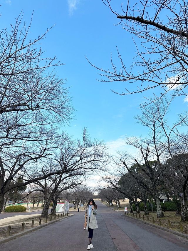 日本大阪萬博紀念公園🇯🇵
