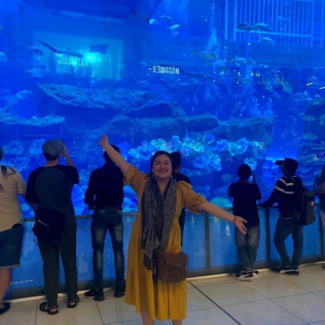 Diversed Activities at the Dubai Mall
