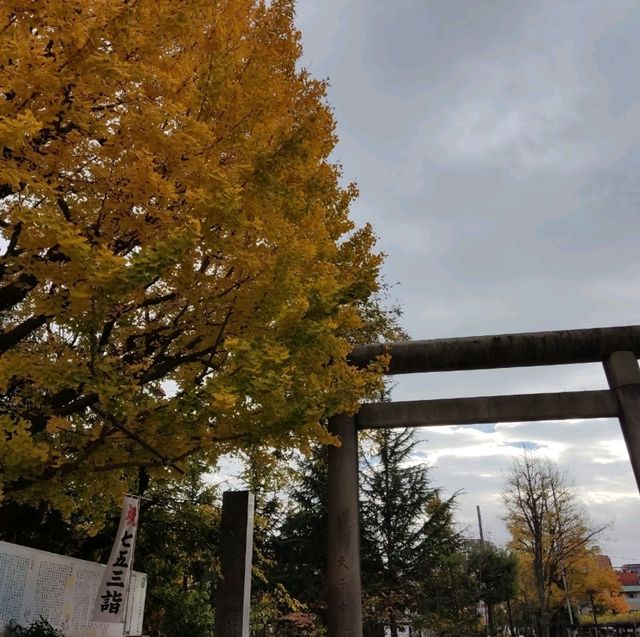 東京必訪景點－淺草寺與淺草神社