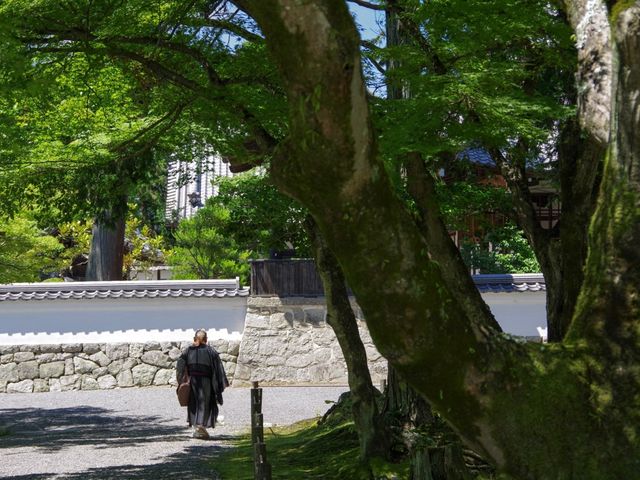 【京都市】新緑の水路閣も美しい✨