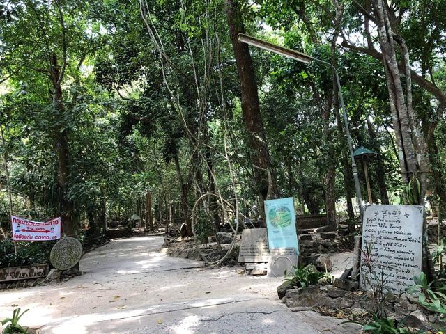 Suan Mokkh -  Dharma Her­mit­age place in 🇹🇭