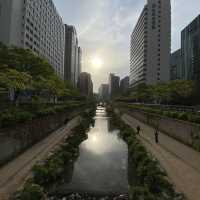 Cheonggyecheon: Urban Oasis in Seoul's Heart