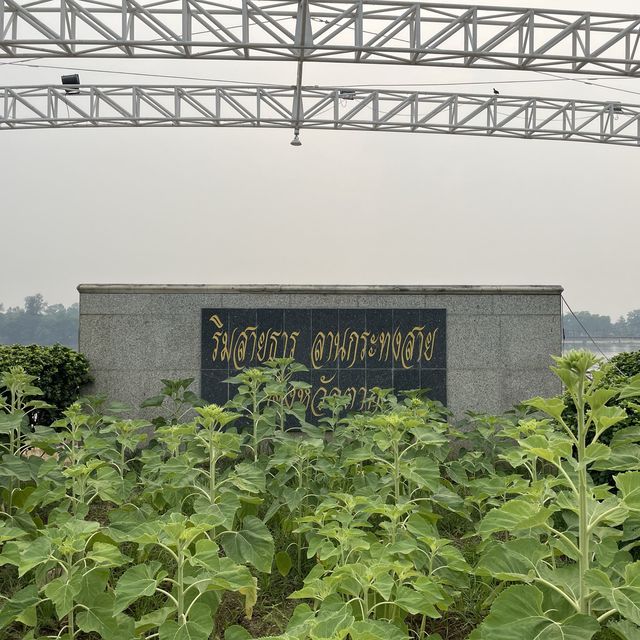 สะพานสมโภชรัตนโกสินทร์ 200 ปี จังหวัดตาก