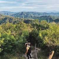 Nature and Wildlife Experience at Mount Purro