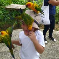 Cebu Safari and Adventure Park🏞️