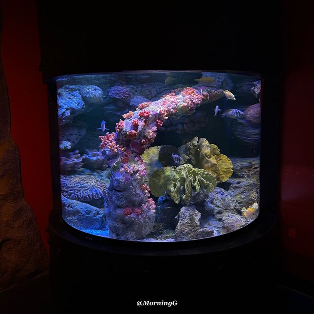 SEA LIFE Bangkok Ocean World 🐠 