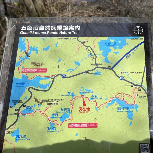 【福島・絶景】神秘の湖沼「五色沼」