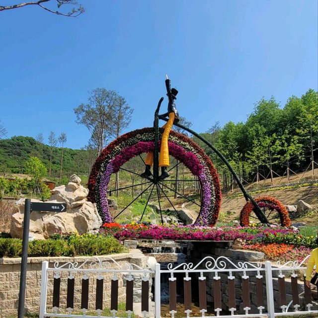 꽃이 가득한 정원으로 탈바꿈한 교동 화개정원🌺