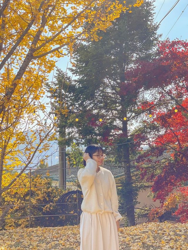 가을이 되면 더 예쁜, 청주 은행나무 뷰 카페💛