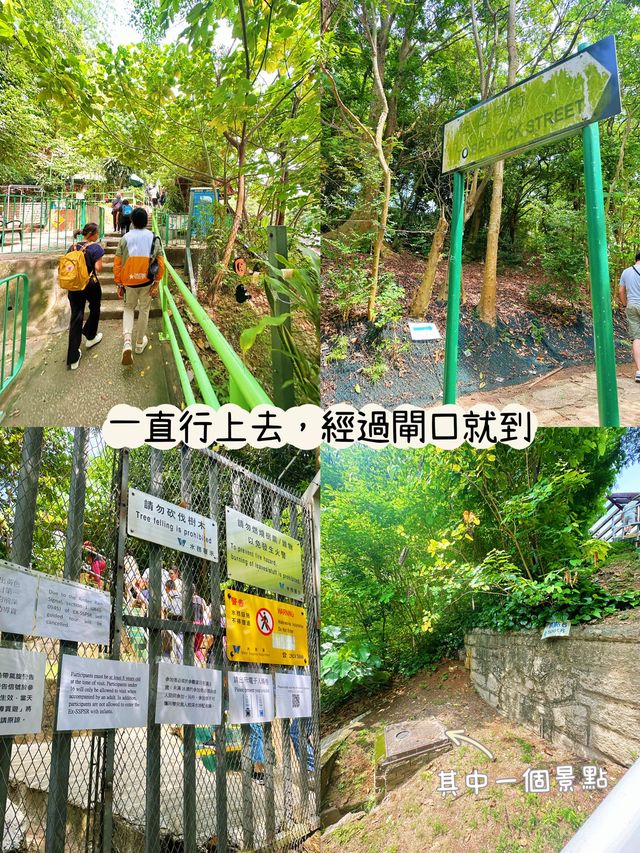 ⭐️1904年主教山仿羅馬設計配水庫🤩