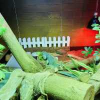 週末好去處，香港挪亞方舟親子遊初體驗