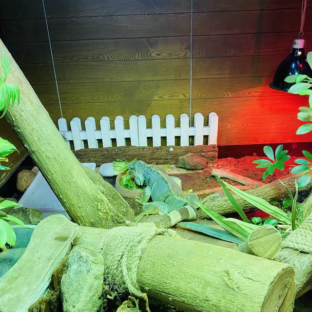 週末好去處，香港挪亞方舟親子遊初體驗