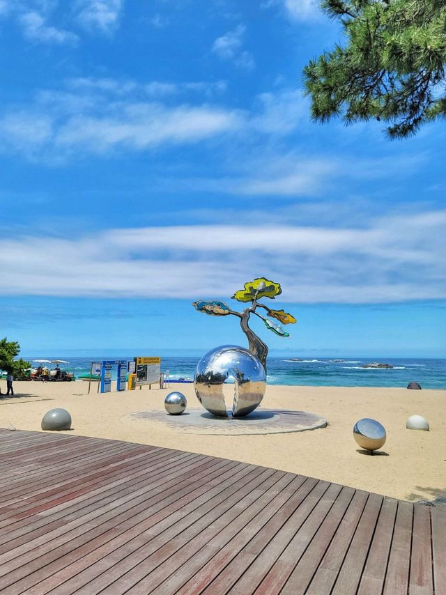 날씨 좋은날엔 강릉 경포해변🏖하세요!