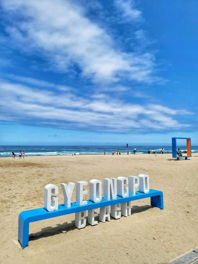날씨 좋은날엔 강릉 경포해변🏖하세요!