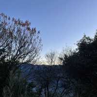 Catching the Sunrise at Alishan