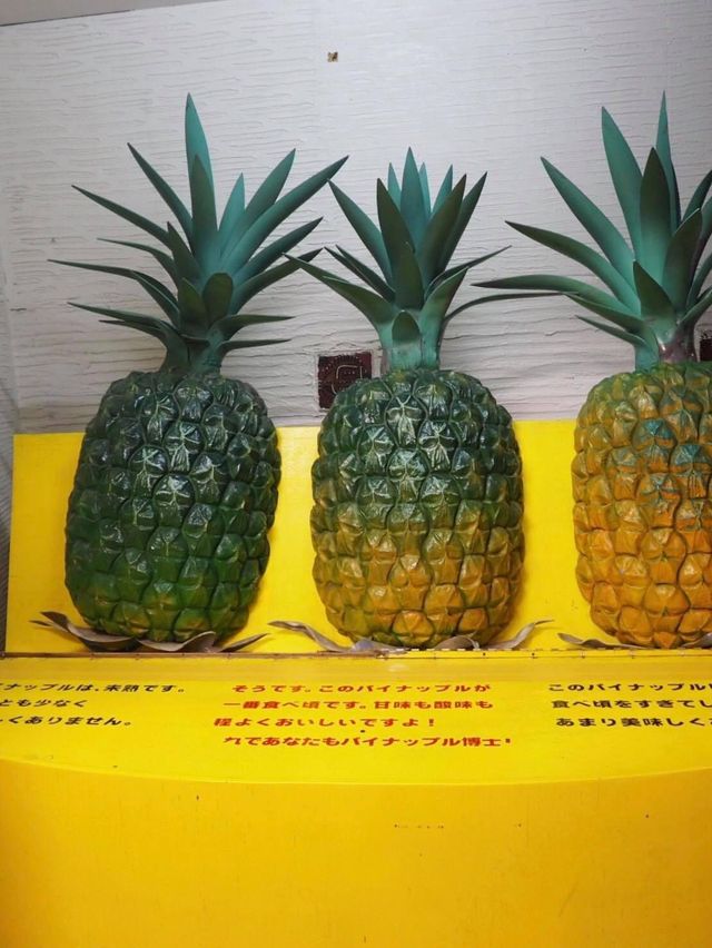 沖繩夏日親子遊‼️旅行🧳必去超得意菠蘿🍍主題名護鳳梨園