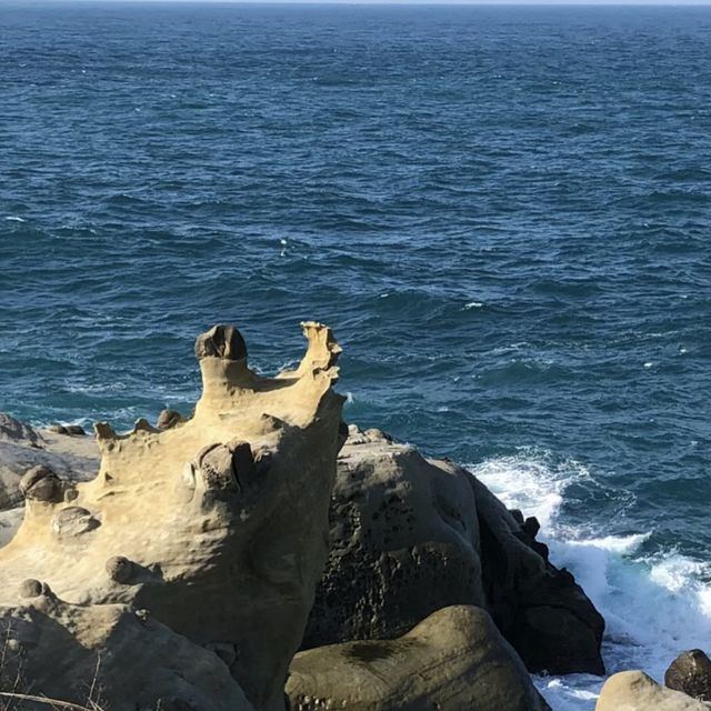 和平島地質公園🖼️基隆的奇幻地質🌋