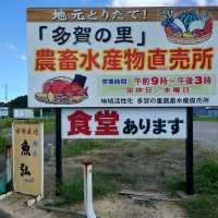 愛知旅行！「多賀の里」「魚弘」
