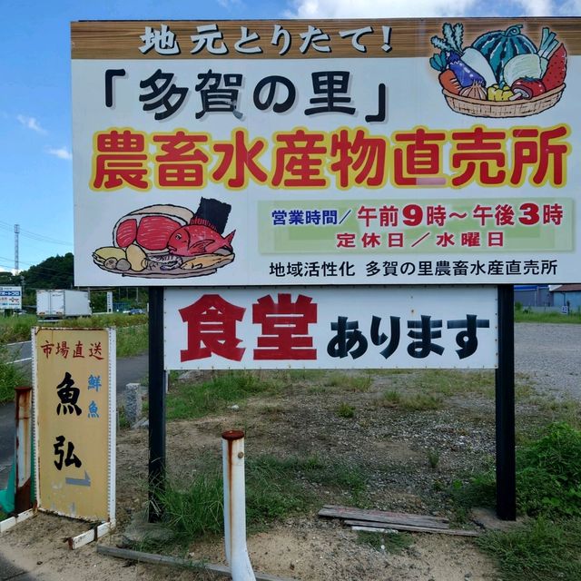 愛知旅行！「多賀の里」「魚弘」