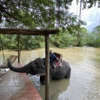 หมู่บ้านช้างพัทยา