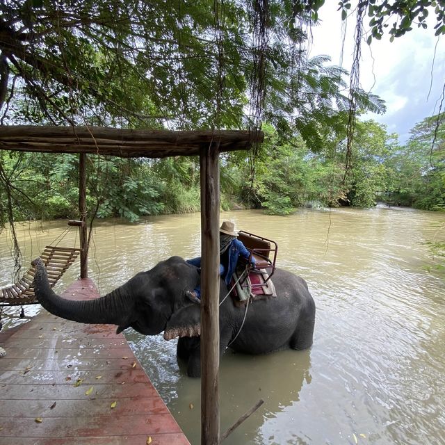 หมู่บ้านช้างพัทยา