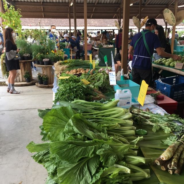 ตลาดจริงใจ 🥬🥕