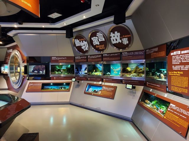 Noah's Ark Hong Kong 🎯✨