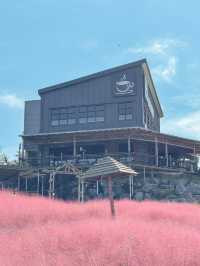 꽃잔치 가득 열린 청주 카페 아르떼 물들이다🌸