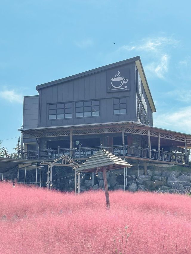 꽃잔치 가득 열린 청주 카페 아르떼 물들이다🌸