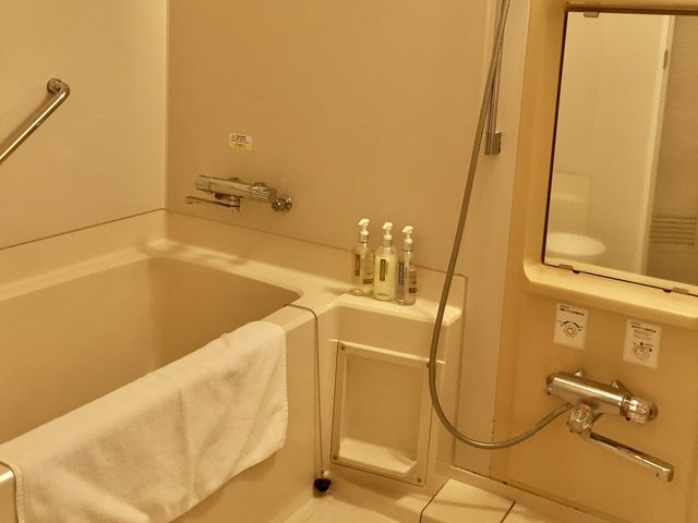 宮崎ANA Holiday Inn Resort