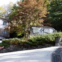 日本住宿篇，藏王溫泉旅館性價比高