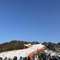 스키장의 계절이 왔다⛷️🏂