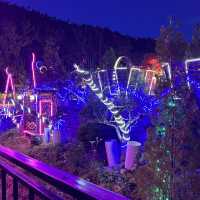 Magic After Dark at Forest of Light Garden