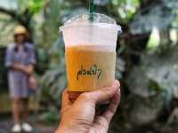 The Forest สวนป่าคาเฟ่ จ.อุตรดิตถ์